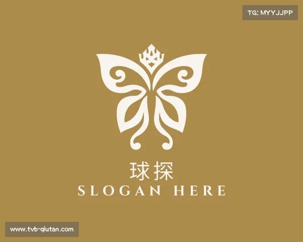 关于球探